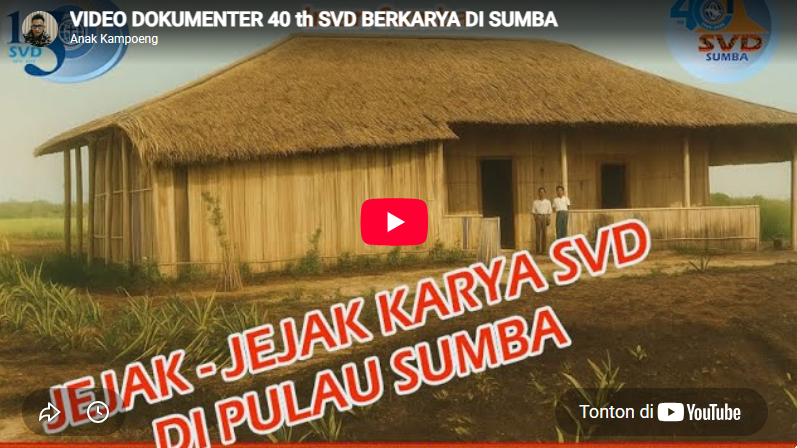 VIDEO DOKUMENTER SVD